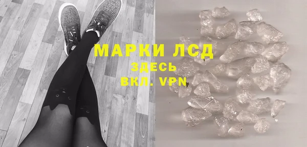 гашик Нефтекумск